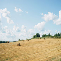 First image