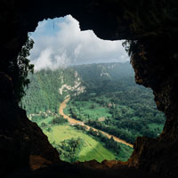 Elventh image